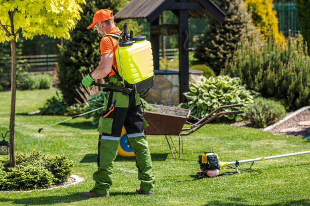 Best Outdoor Pest Control  in Crest Hl, IL